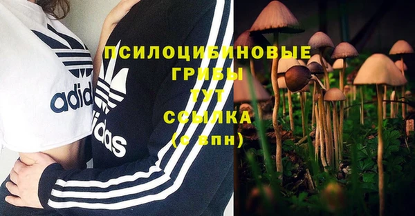 амфетамин Каменка