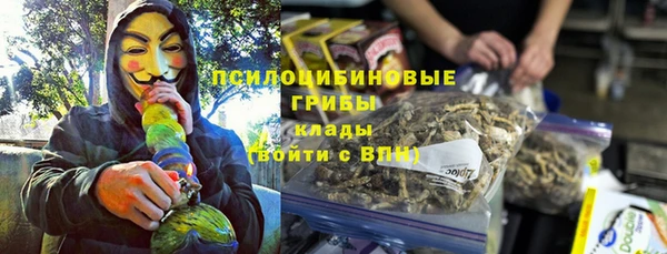 mdpv Каменногорск