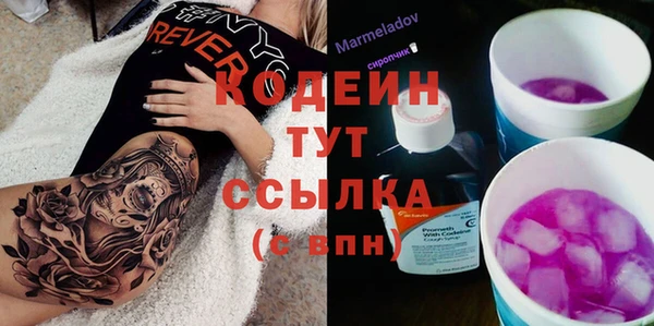 винт Инта