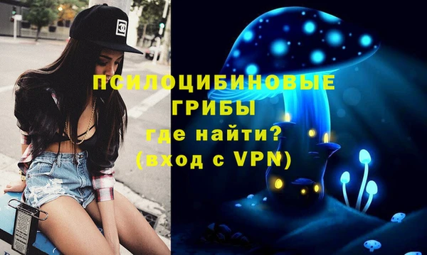 mdpv Каменногорск