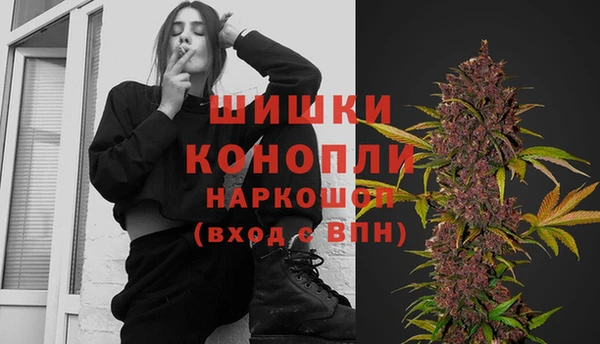 mdpv Каменногорск
