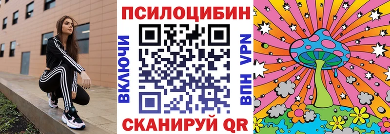 Галлюциногенные грибы Cubensis  Купить где  Гатчина 